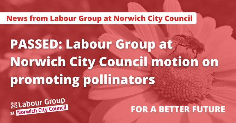 Passed: Labour Group at Norwich City Council motion on promoting pollinators in the city